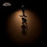 Matt Hansen — Orchid