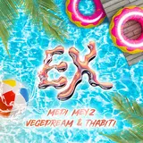Medi Meyz — Ex Ft Vegedream & Thabiti