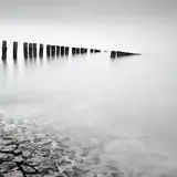 Michael Logozar — Timelapse