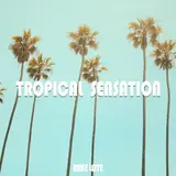 Mike Leite — Tropical Sensation