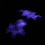 Motxai — Aurora Borealis (Ultra Slowed)