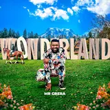 Mr Gbera — Wonderland