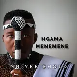 Mr Vee Sholo — Ngamamenemene