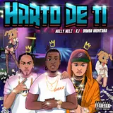 Nelly Nelz — Harto De Ti Ft Dowba Montana & Kj