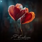 Oybekshox — Я Влюбился Ft Вито