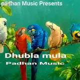 Padhan Music — Dhubla Mula