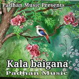 Padhan Music — Kala Baigana