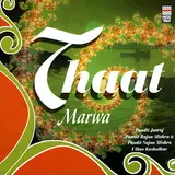Pandit Rajan Mishra — Raga Lalit Ft Pandit Sajan Mishra