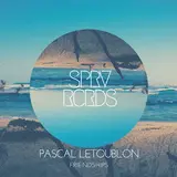 Pascal Letoublon — Friendships