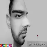 Pav Dharia — Teri Yaadan