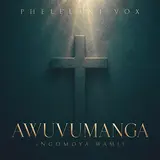 Phelelani Vox — Awuvumanga (Ngomoya Wami)