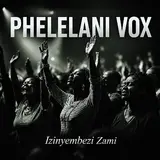 Phelelani Vox — Izinyembezi Zami