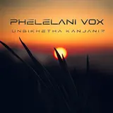 Phelelani Vox — Ungikhetha Kanjani?