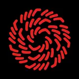 Phil Berg — Destiny Bond