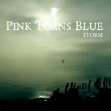 Pink Turns Blue — Fairy Said
