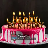Quinn Changg — Happy Birthday (Remix Version 2) (Feat. Various Artists & Lespal)