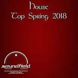 Roman Depthsound — Soul Vibes