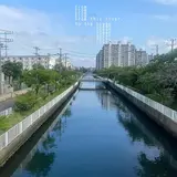 Safmusic — Re:wind