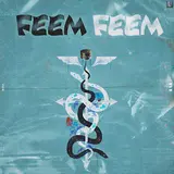 Sardar Khehra — Feem Feem
