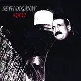 Seyfi Doğanay — Git Yoluna