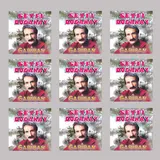 Seyfi Doğanay — Kimsesizler Ülkesine