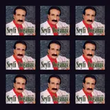 Seyfi Doğanay — Gelmedin Gelecektin