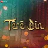 Shani Arshad — Tere Bin