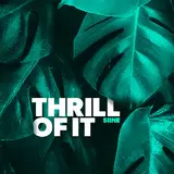 Siine — Thrill Of It (Chez Remix) (Feat. Frank Moody)