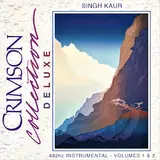 Singh Kaur — Spark In The Night