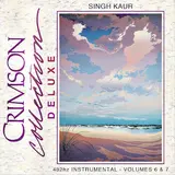 Singh Kaur — Ardas Deluxe 432Hz Instrumental