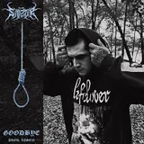 Sinizter — Goodbye