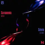 Sky-Hi — Sarracenia