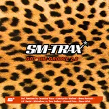 Sm-Trax — Got The Groove 2.8 (J.k. David Funkatron Mix)