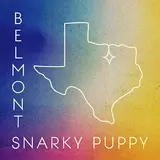 Snarky Puppy — Lingus