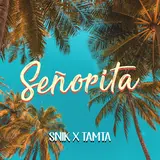 Snik — Senorita Ft Tamta