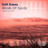 Soft Knees — Winds Of Fjords (Minomus Epic Edit)