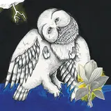 Songs: Ohia — Farewell Transmission Ft Jason Molina
