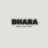 Soul Jah Love — Ndiri Zvinhu