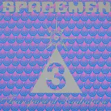 Spacemen 3 — Starship