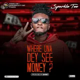 Sparkle Tee — Where Una Dey See Money?
