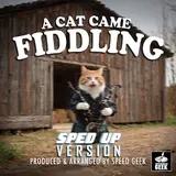 Speed Geek — A Cat Came Fiddling (Sped-Up Version)