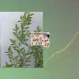 Spill Tab — Decompose