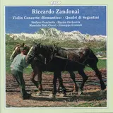 Stefano Zanchetta — Violin Concerto "Romantico": I. Allegro Ft L'orchestra Haydn Di Bolzano E Trento & Maurizio Dini Ciacci