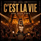 Summertimeflow — C'est La Vie (Afro House)