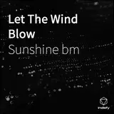 Sunshine Bm — Let The Wind Blow