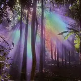 Sxultape Vision — Vox