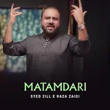 Syed Zill E Raza Zaidi — Matamdari