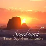 Taneen Sufi Music Ensemble — Seyedenah