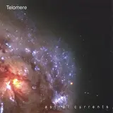 Telomere — Departure