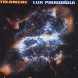 Telomere — Startides
